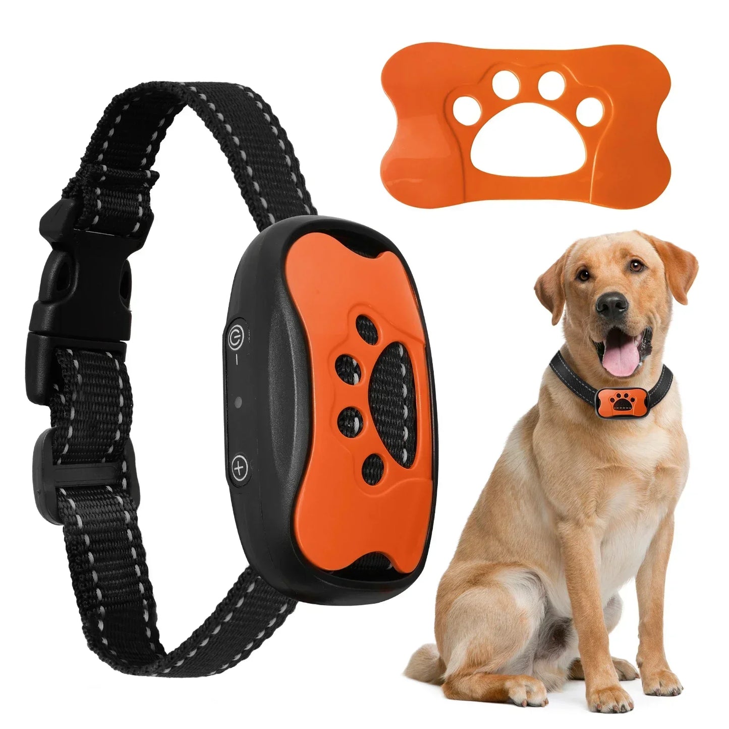 S1d2de700b45a46e4a827e8dc07773102s